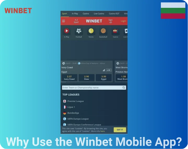 Why Use the Winbet Mobile App?